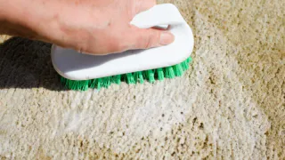 Всего 1 ложка на таз — и ковер как новый: вся многолетняя грязь сошла за 15 минут — чище, чем после химчистки
