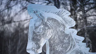 Погода 15 января в Татарстане не изменится: спокойно, без снегопада и метелей