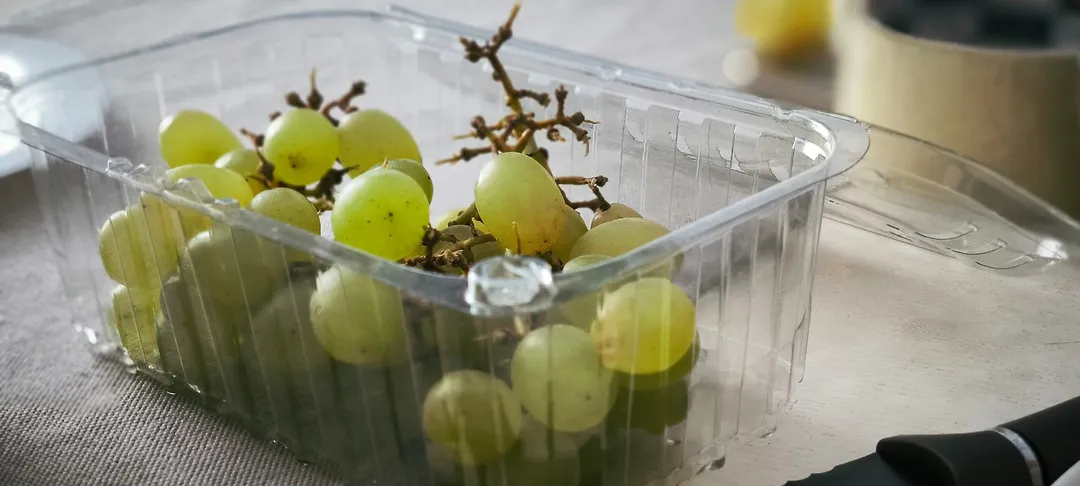 СК назвал приоритетную версию смерти отравившихся в России детей