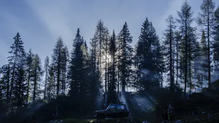 Из Коми отправили более 1,3 млн кубометров леса