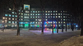 Медведи, арки, кареты: в Сыктывкаре установят новые световые фигуры и новогоднюю иллюминацию