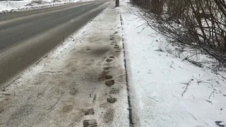 Нестабильность температур и разнообразные осадки: прогноз погоды в Челябинской области на 24 ноября