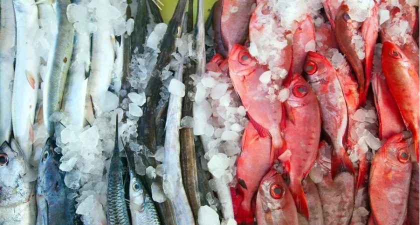 В этой рыбе найдена ртуть: она убьет печень, мозг и сердце