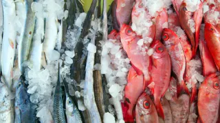 В этой рыбе найдена ртуть: она убьет печень, мозг и сердце