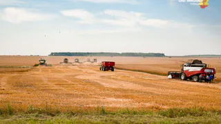 В Чувашии начали уборочную кампанию с рекордной поддержкой аграриев