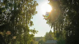 23 апреля в Чувашии ожидается аномально жаркая погода