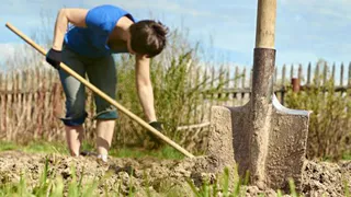 Дачникам напомнили, за что их могут оштрафовать в 2024 году