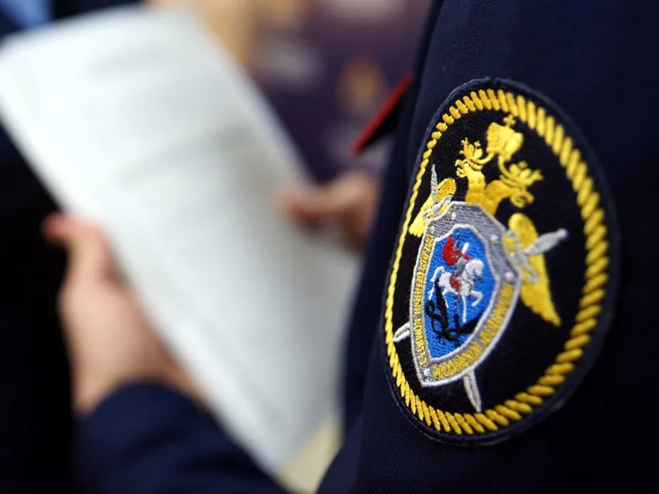 Бастрыкин взял под личный контроль ситуацию с расселением аварийных домов в рязанском Скопине
