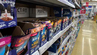 Можно смело покупатьпо 5 пачек – чистое мясо: Роскачество назвало лучшие корма для животных
