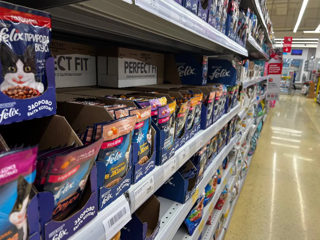 Можно смело покупатьпо 5 пачек – чистое мясо: Роскачество назвало лучшие корма для животных