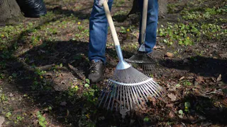 Рязанцев пригласили на общегородской субботник