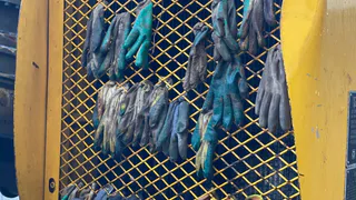 Власти Коми ищут пути спасения убыточного предприятия