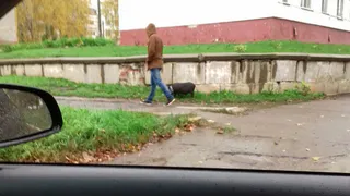 Свинство по-нижнекамски: парень завел дома… свинью!