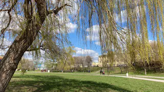 27 апреля в Рязанской области пройдет дождь и потеплеет до +23