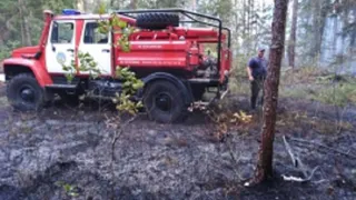 Под Брянском потушили лесной пожар