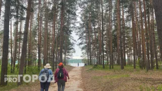 Санаторно-курортное лечение за счет государства: как пенсионерам получать бесплатные путевки