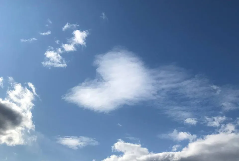 Гороскоп на 8 июля предостерегает от переутомления и советует быть решительнее