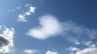 Гороскоп на 8 июля предостерегает от переутомления и советует быть решительнее