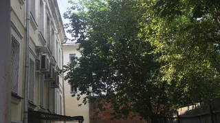 5 деревьев, которые притягивают беды: ни в коем случае не сажайте их возле дома