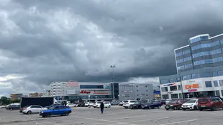 Выбросы сероводорода заметили в Рязани