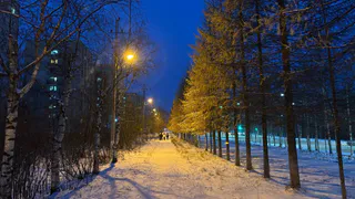 Полный откат к зиме: Гидрометцентр поменял прогноз с 12 мая — вернутся морозы и снег