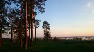 Без вести пропавшего юношу из Нижнекамска нашли мёртвым