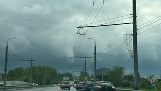 Рязанцы возмущены потоком авто по пешеходной зоне