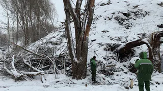 В Казани возбудили уголовное дело из‑за крупной свалки опасных отходов