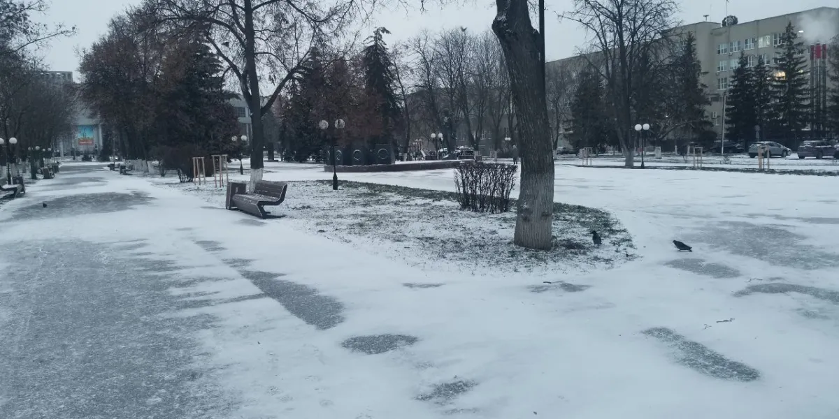 Прогноз погоды на 19 декабря в Рязанской области