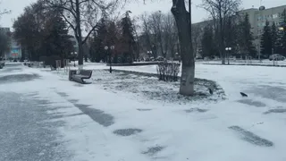 Арктический фронт движется на юг — прогноз погоды по регионам России на неделю (15.12.2025 - 21.12.2025)