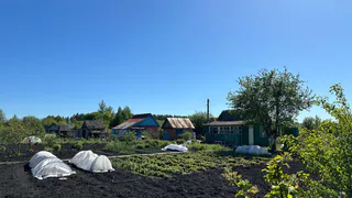 "Огромный штраф и срок на 8 лет": за эти растения на участке дачникам грозит суровейшее наказание 