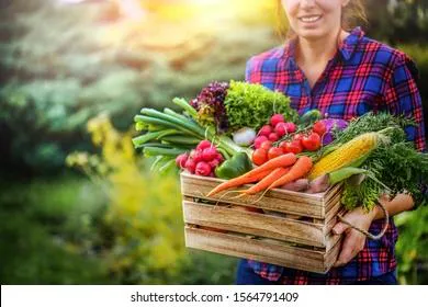 Медик назвала пять недооцененных сезонных овощей