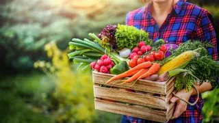 Медик назвала пять недооцененных сезонных овощей