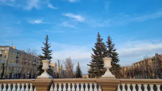 Стало известно, сколько крупномерных деревьев высадят в сквере Металлургов