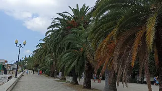 "Еле ноги унесли от этого гостеприимства": россиянин оставил честный отзыв об отдыхе в Абхазии