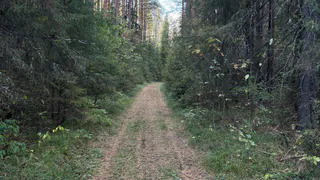 10 пунктов для комфортного похода