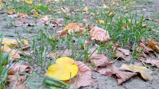 В выходные в Рязань придет тепло