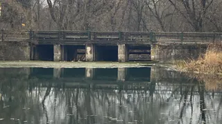 В Струнине два моста через реку Горелый Крест вернулись в собственность города