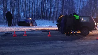 В ДТП на Юрьев-Польской трассе погибла девушка