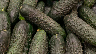 Вместо золы и коровяка: как эффективно подкормить огурцы в июне