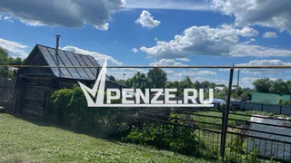 В Пензенском районе пропала 18-летняя Виктория Алексеева
