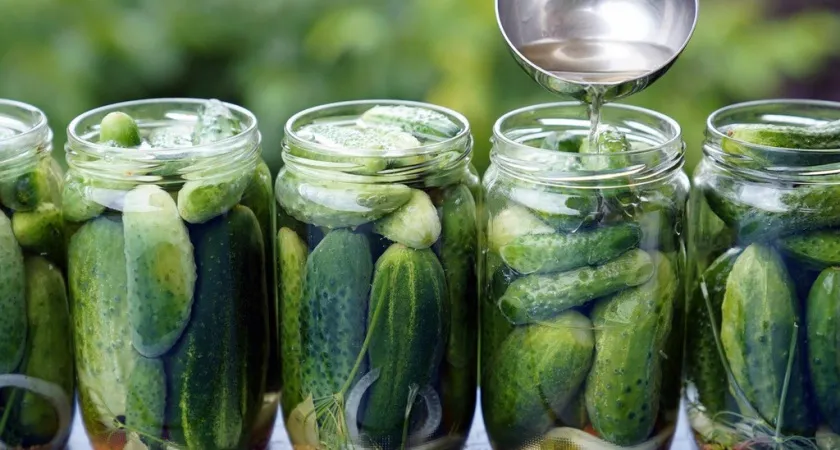 Маринуем хрустящие огурцы в банке 1 литр: очень простой рецепт