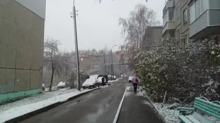 Откроются все двери: Павел Глоба сулит единственному знаку зодиака невероятную прибыль с 5 декабря