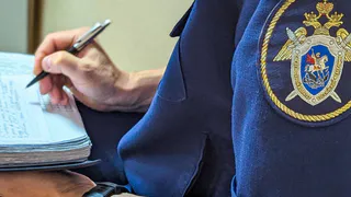 В школе Гусь-Хрустального начата проверка по факту насилия над учеником