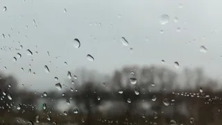 Пасмурно, дожди: прогноз погоды на рабочую неделю