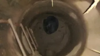 "Собаку просто оставили умирать"  - животное месяц прожило в колодце