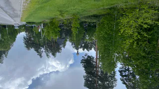 В Пензенской области могут ввести особый противопожарный режим