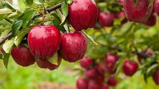 Россиянам разъяснили их уникальное право