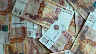 Осужденная на 14 лет за взяточничество Елена Паненкова обжаловала приговор