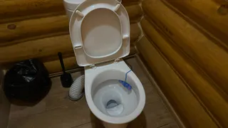 Ходить в туалет на унитаз больше не в моде: новый туалетный тренд скоро доберется и до россиян